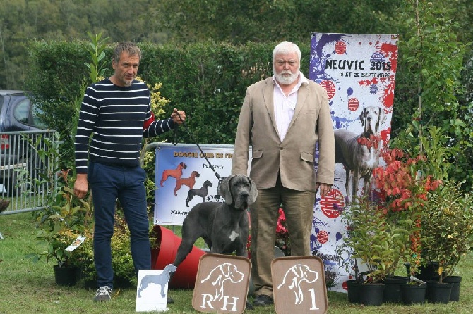 de l'Orangerie des perles rares - NATIONALE DU DCF NEUVIC