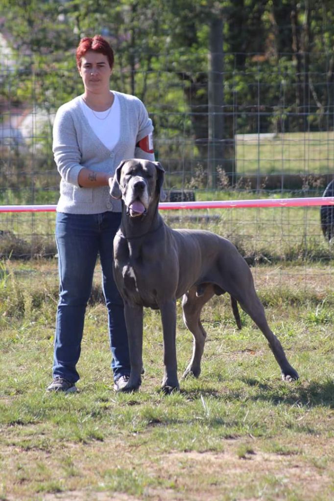 BUNDESSIEGER DORTMUND IROSSAN CHAMPION